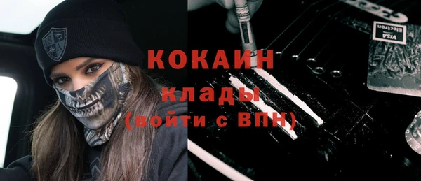 мдпв Пестово