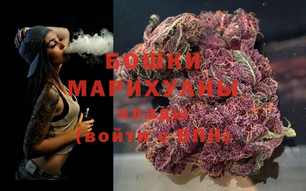мдпв Пестово