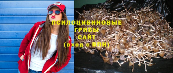 соль курить ск Струнино