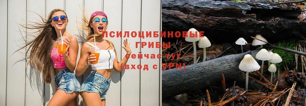 мдпв Пестово