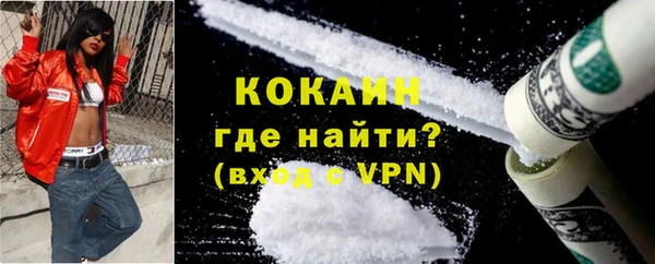 мдпв Пестово